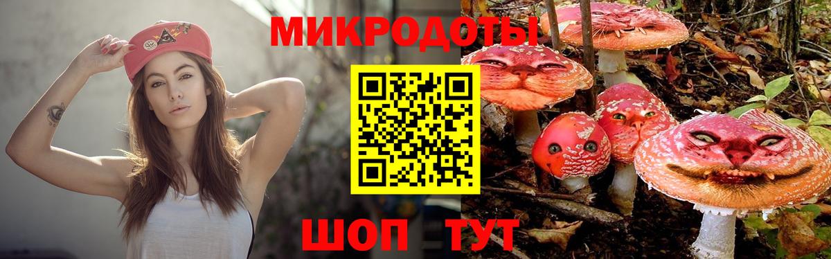 Псилоцибиновые грибы мухоморы  Вход с VPN  купить наркотик  Ставрополь 